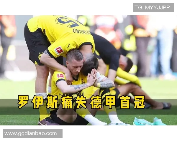 多特蒙德止跌回升,德甲排名逐步回暖 多特蒙德止跌回升,德甲排名逐步回暖