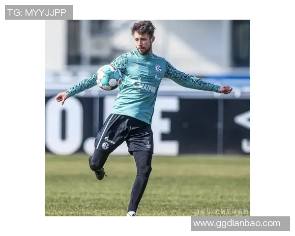 勒沃库森主场横扫沙尔克04，力压对手实现大胜