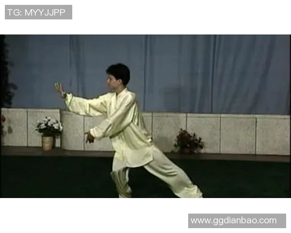 探索太极拳88式的深厚内涵与实用技巧之旅