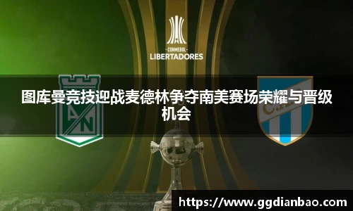 雷竞技手机下载